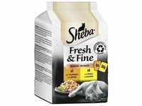 Sheba Fresh & Fine in Sauce mit Huhn und mit Truthahn