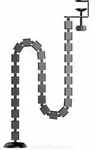 Spine