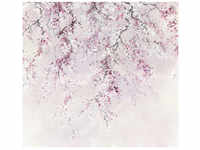 KOMAR Vliestapete, Kirschblüten, bunt - rosa