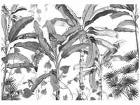 KOMAR Vliestapete, Blumen, bunt - schwarz