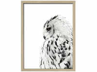 Pro Art Gerahmtes Bild »Snow Owl«, Rahmen: Holzwerkstoff, natur - bunt