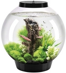 OASE Tabletop Aquarien &raquo;biOrb CLASSIC&laquo;, mit LED Beleuchtung, 30 l, schwarz