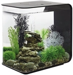 OASE biOrb FLOW 30 LED schwarz