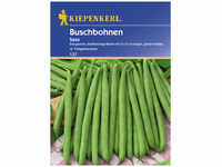 Kiepenkerl Buschbohne, Phaseolus vulgaris var. Nanus, Inhalt reicht für 8 - 10...