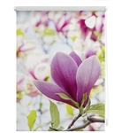 Lichtblick Rollo, &lrm;&lrm;Klemmfix, 45x150 cm&lrm;&lrm;, Magnolie, rosa - rot