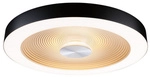 PAULMANN LED-Deckenleuchte, WD Volea IP44 W/D dim LED 25W 400mm Schwarz Gold 230V