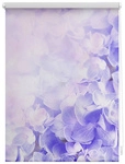 Lichtblick Rollo, &lrm;&lrm;Klemmfix, 120x150 cm, Hortensie, lila