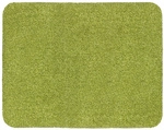Astra T&uuml;rmatte &raquo;Entra&laquo;, BxL: 90 x 150 cm, Baumwolle - gruen