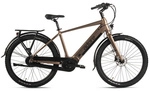 Adore E-Citybike &raquo;CX-290&laquo;, RH: 48 cm, 8-Gang - braun