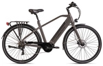 Hollandia E-Trekkingbike &raquo;Mantova&laquo;, 7 G&auml;nge, max. 25 km/h, grau