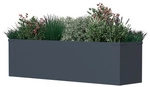 Westmann Pflanzk&uuml;bel &raquo;Talus&laquo;, BxHxT: 100 x 27 x 25 cm, Stahl, anthrazit - grau