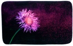 Sanilo Badteppich &raquo;Purple&laquo;, schwarz, Polyester