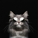 Sanilo Badematte &raquo;Cool Cat&laquo;, 53 x 53 cm, Schwarz, Quadratisch