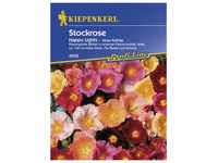 Kiepenkerl Stockrose, Alcea ficifolia, Samen, Blüte: mehrfarbig