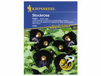 Kiepenkerl Stockrose, Alcea ficifolia, Samen, Blüte: schwarz