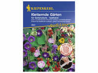 Kiepenkerl Kletternde Gärten Mix Saatb., Samen, Blüte: mehrfarbig