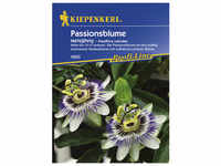 Kiepenkerl Kiepenkerl Saatgut, Passionsblume, Passiflora caerulea Passionsblume,