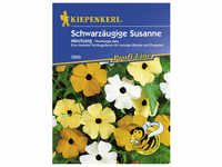Kiepenkerl Schwarzäugige Susanne, Thunbergia alata, Samen, Blüte: mehrfarbig