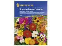Kiepenkerl Sommerblumenzauber Mix, Mischung, Samen, Blüte: mehrfarbig