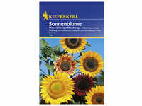 Kiepenkerl Sonnenblume, Helianthus annuus, Samen, Blüte: mehrfarbig