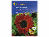 Kiepenkerl Sonnenblume, Helianthus annuus, Samen, Blüte: rot