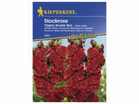 Kiepenkerl Stockrose, Alcea rosea, Samen, Blüte: rot
