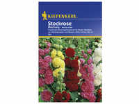 Kiepenkerl Stockrose, Alcea rosea, Samen, Blüte: mehrfarbig
