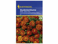 Kiepenkerl Studentenblume, Tagetes patula, Samen, Blüte: rot/orange