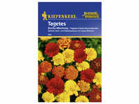 Kiepenkerl Studentenblume, Tagetes patula, Samen, Blüte: mehrfarbig