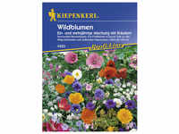 Kiepenkerl Wildblumenmischung, Samen, Blüte: mehrfarbig