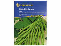 Kiepenkerl Buschbohne vulgaris var. nanus Phaseolus »Maxi«