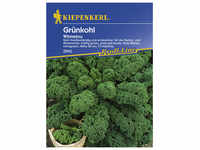 Kiepenkerl Grünkohl oleracea var. sabellica Brassica