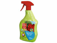 Protect Garden Pilzbekämpfung »Curamat«, 1000 ml, Spray, schützt vor...