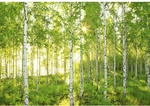 KOMAR Papiertapete &raquo;Sunday&laquo;, Breite: 368 cm, inkl. Kleister - bunt