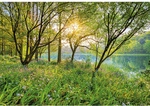 KOMAR Papiertapete &raquo;Spring Lake&laquo;, Breite: 368 cm, inkl. Kleister - bunt