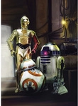 KOMAR Papiertapete &raquo;STAR WARS Three Droids&laquo;, Breite 184 cm - bunt