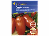 Kiepenkerl Salat-Tomate lycopersicum Solanum »Pozzano« - rot