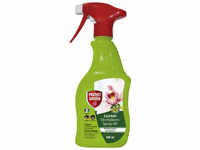 Protect Garden Orchideenspray »Lizetan«, 500 ml, Spray - gruen