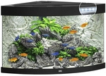 JUWEL AQUARIUM Trigon 190 LED Aquarium - schwarz
