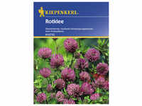 Kiepenkerl Gründüngung pratense Trifolium »Rotklee«
