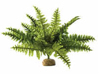 EXO TERRA Kunstpflanze, Rainforest Ground Plants - Boston Farn - gruen