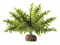 EXO TERRA Kunstpflanze, Regenwaldpflanze Boston Farn, grün, für Aquarien/Terrarien