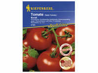 Kiepenkerl Salat-Tomate lycopersicum Solanum »Bocati« - rot