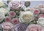 KOMAR Papiertapete &raquo;Floraison&laquo;, Breite: 368 cm, inkl. Kleister - bunt