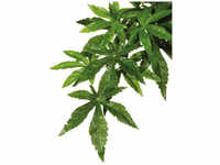 EXO TERRA Kunstpflanze, Regenwaldpflanze Abutilon, grün, für Aquarien/Terrarien -