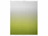 Lichtblick Plissee, 1 Plissee, Klemmfix, 70x130 cm, grün weiß - gruen