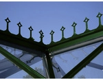 VITAVIA Firstkrone - gruen