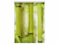 Lichtblick Rollo, ‎‎Klemmfix, 100x150 cm‎‎, Bambus, grün - gruen