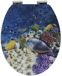 WENKO WC-Sitz &raquo;Fish&laquo;, MDF, oval, mit Softclose-Funktion - bunt