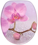 Sanilo WC-Sitz &raquo;Blooming&laquo;, LxBxH: 48 x 37,7 x 5,5 cm, Holz - rosa